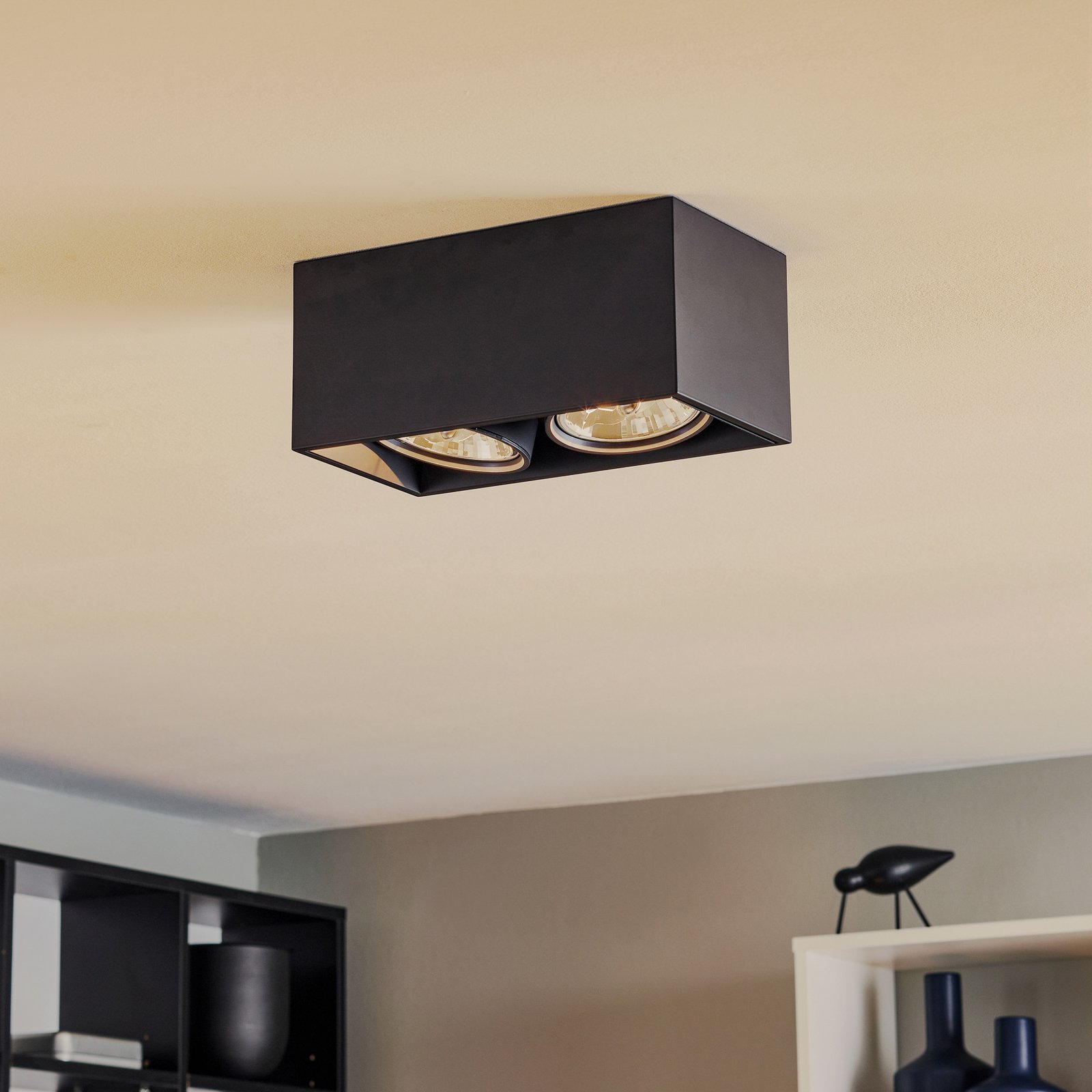 FLOS Compass Box H135 - 2-bulb ceiling light black