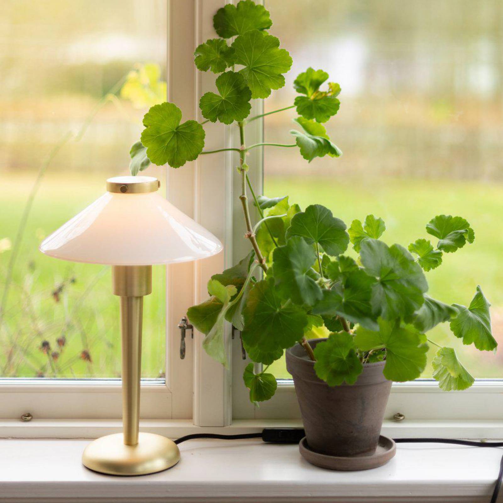 PR Home Tischlampe August, messingfarben/opal, 34 cm, Metall günstig online kaufen