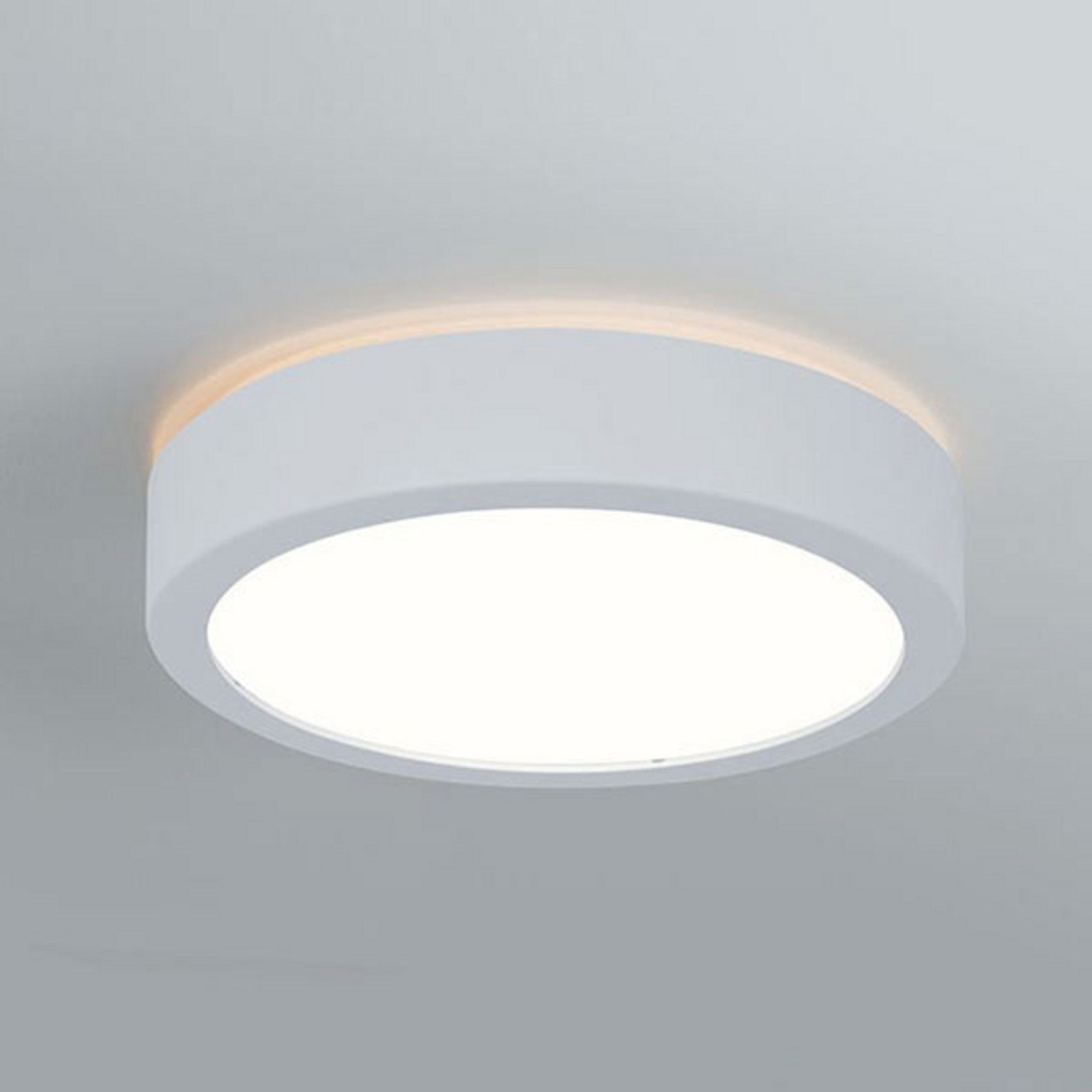 Paulmann Aviar plafonieră LED Ø 22cm alb 4000K - Baie - modern - Plastic