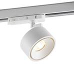 Molto Luce LED-3-Phasen-Schienenstrahler Magis, weiß, 830