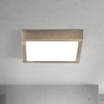 LED ceiling lamp Disc, antique brass colour, length 14 cm, CCT