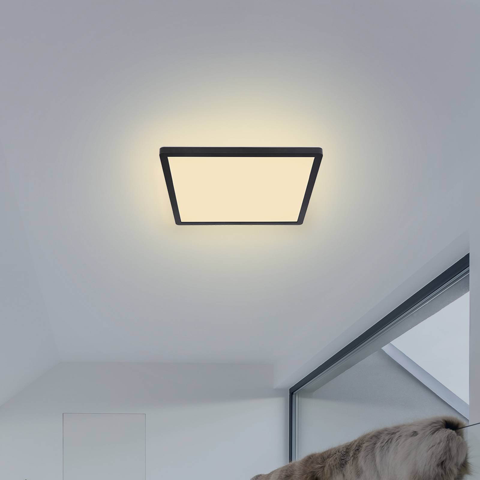 Levně LED stropní světlo Sapana, hranaté, stmívací černá
