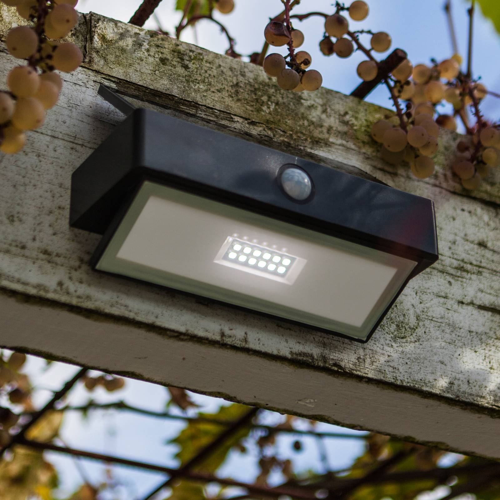 LUTEC LED-utomhusvägglampa för utomhusbruk ARROW, mörkgrå 18 cm, rörelsesensor, IP44