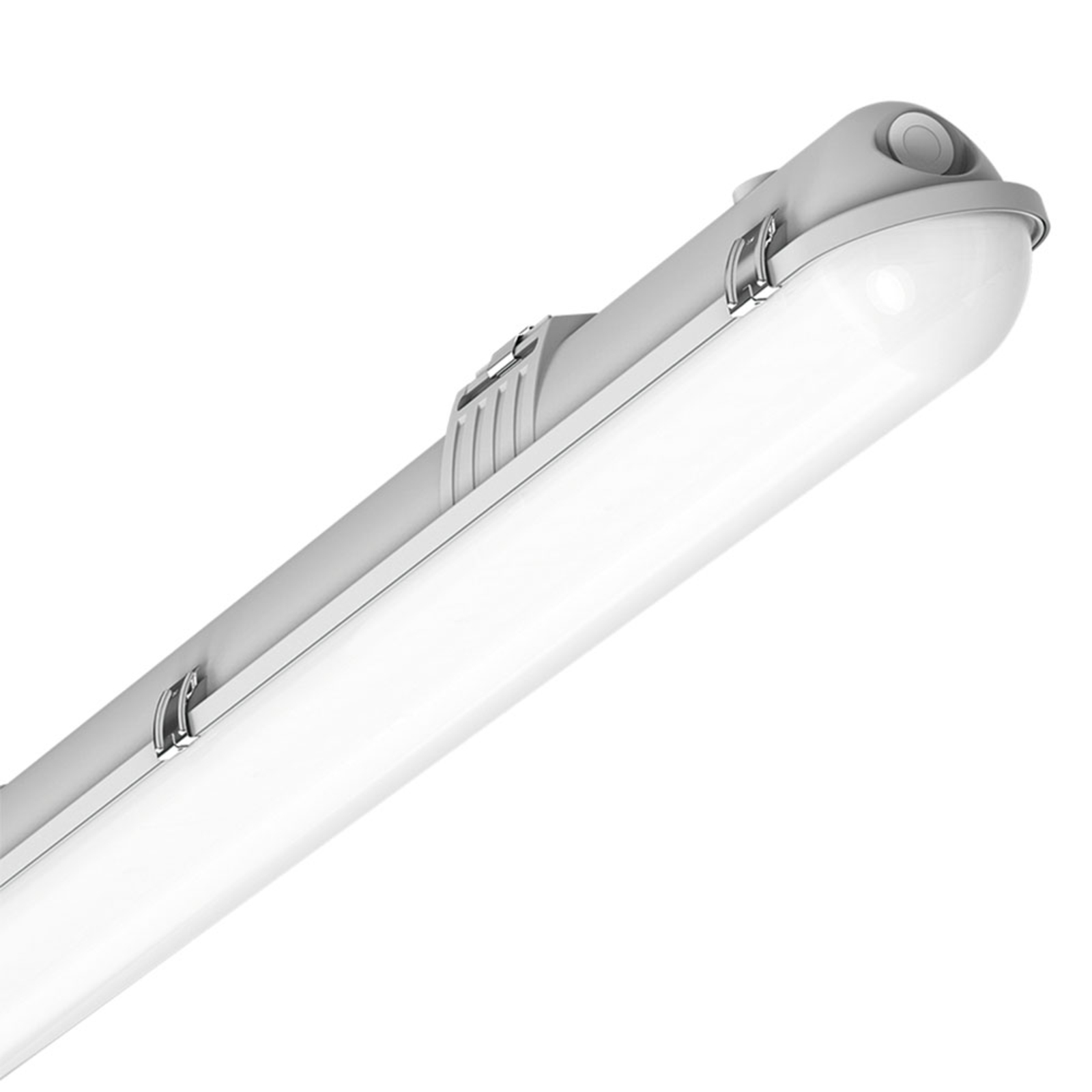 Regiolux parsa-PSO LED wraparound light, 160 cm, 9,821 lm, polyester, acrylic, steel, stainless steel, 68 W, energy efficiency: A++, L: 160 cm, W: 10.5 cm, H: 11.7 cm