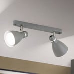 Spot da soffitto School, 2 luci, grigio