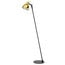 zwart metallic / goud glanzend