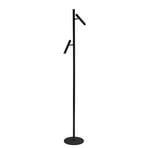 Streak LED floor lamp, 2-bulb with a dimmer, black