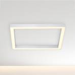 Paul Neuhaus Pure-Lines LED-taklampa kvadrat alu