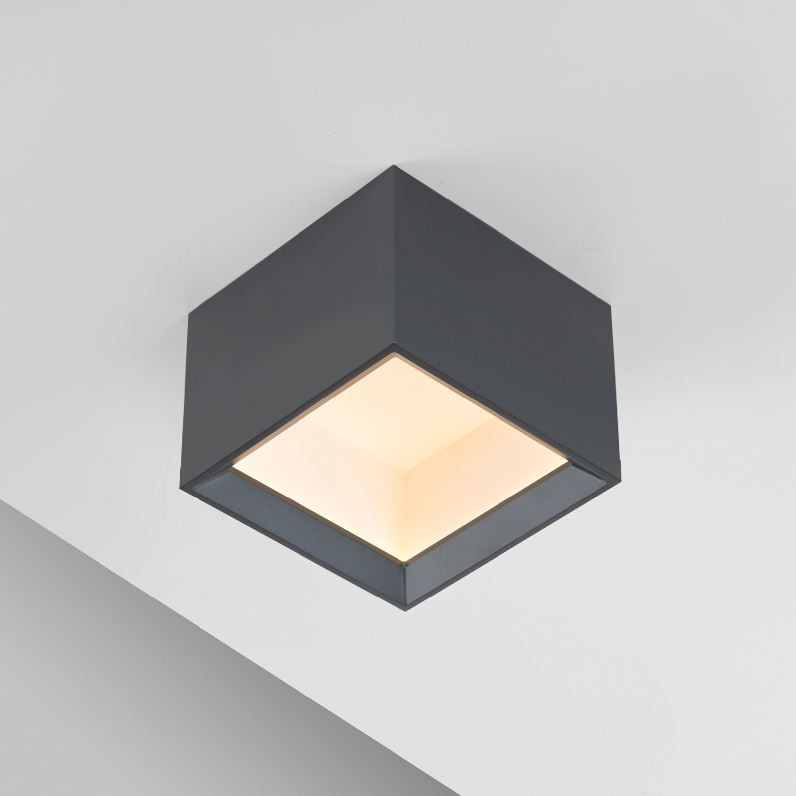 LED-stropna svetilka PURE Manhatten, mystic grey, 1-žarilna, CCT