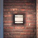 Philips LED outdoor wall light Petronia UE