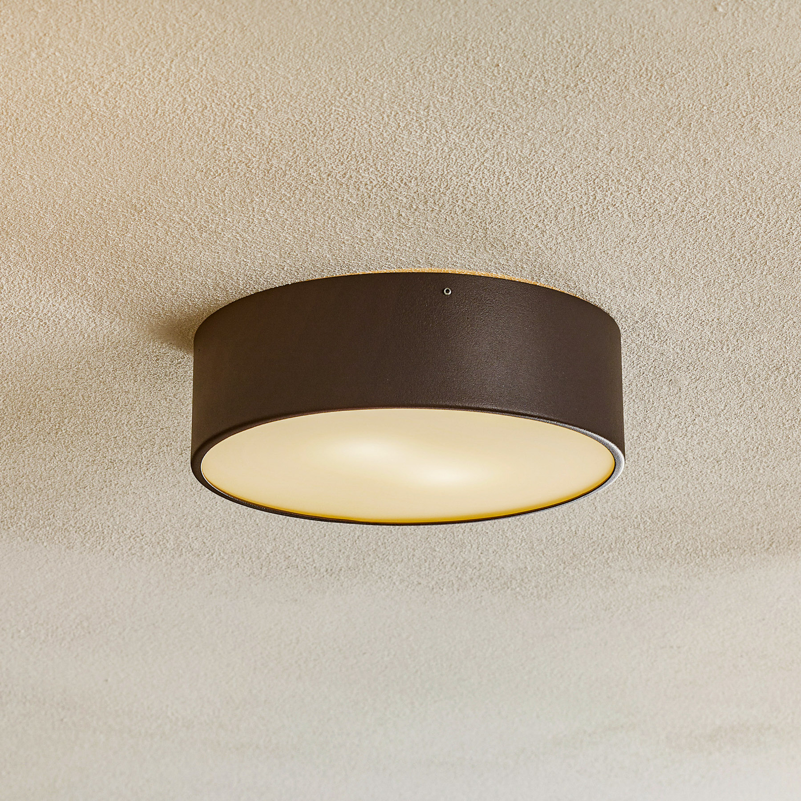 Dayton ceiling light in grey Ø 25 cm