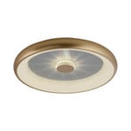 Vertigo LED-loftslampe, CCT, Ø 61,5 cm, messing