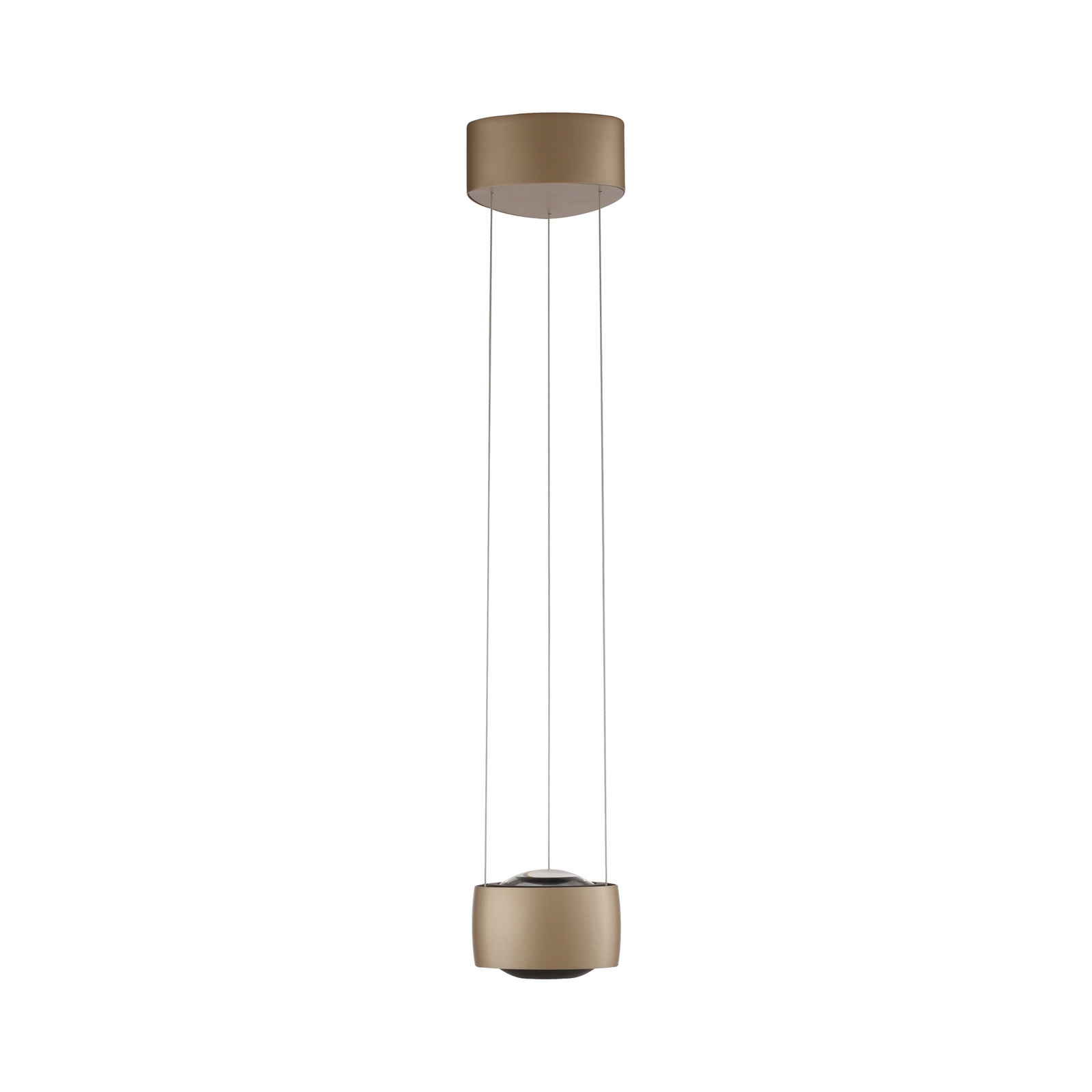 Lámpara colgante LED Q-Stretto de Paul Neuhaus, bronce, 14,5 cm
