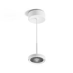 Suspension LED Nivo, blanche, 36°, montage en saillie, à intensité variable -