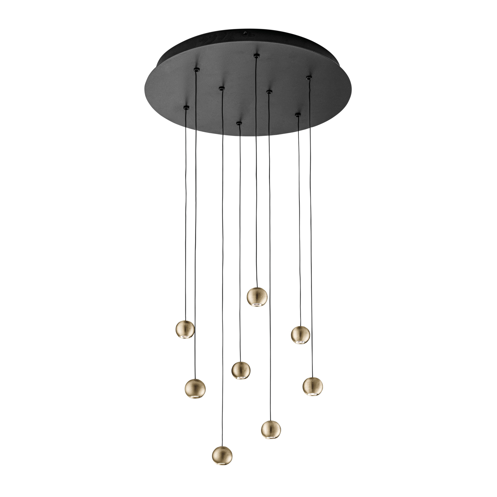 Magnetic LED hanging light round 8-bulb black/gold
