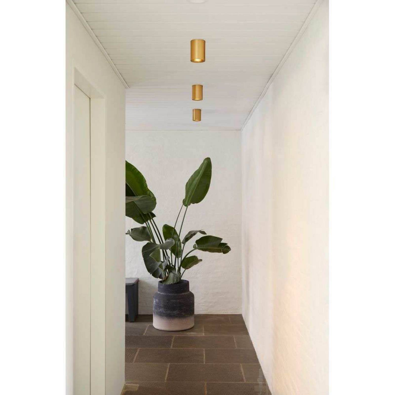 LOOM DESIGN LED-Deckenleuchte Nyx, messing, IP54 günstig online kaufen