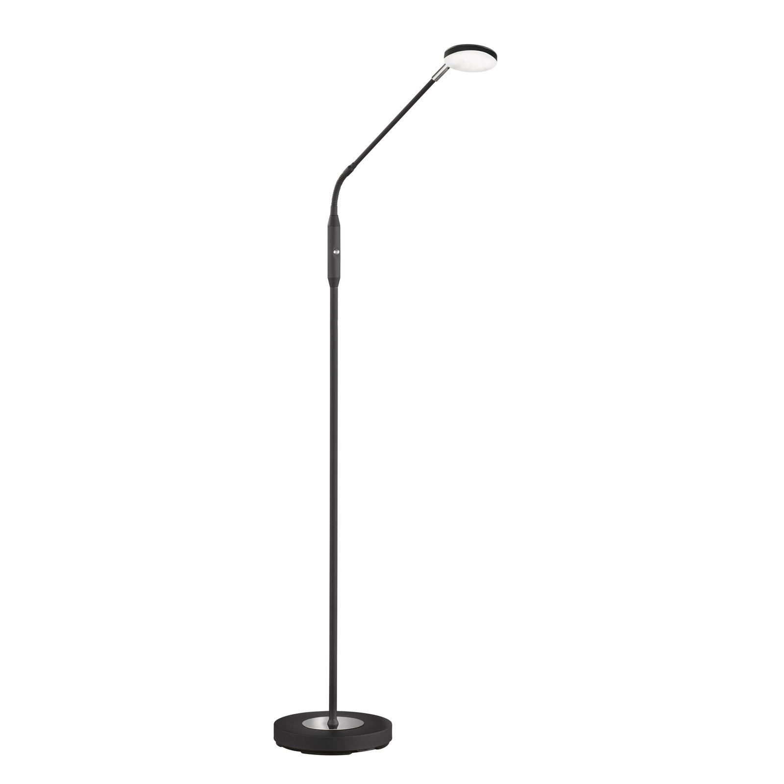 Lunia LED floor lamp, one-bulb, CCT, dimmable