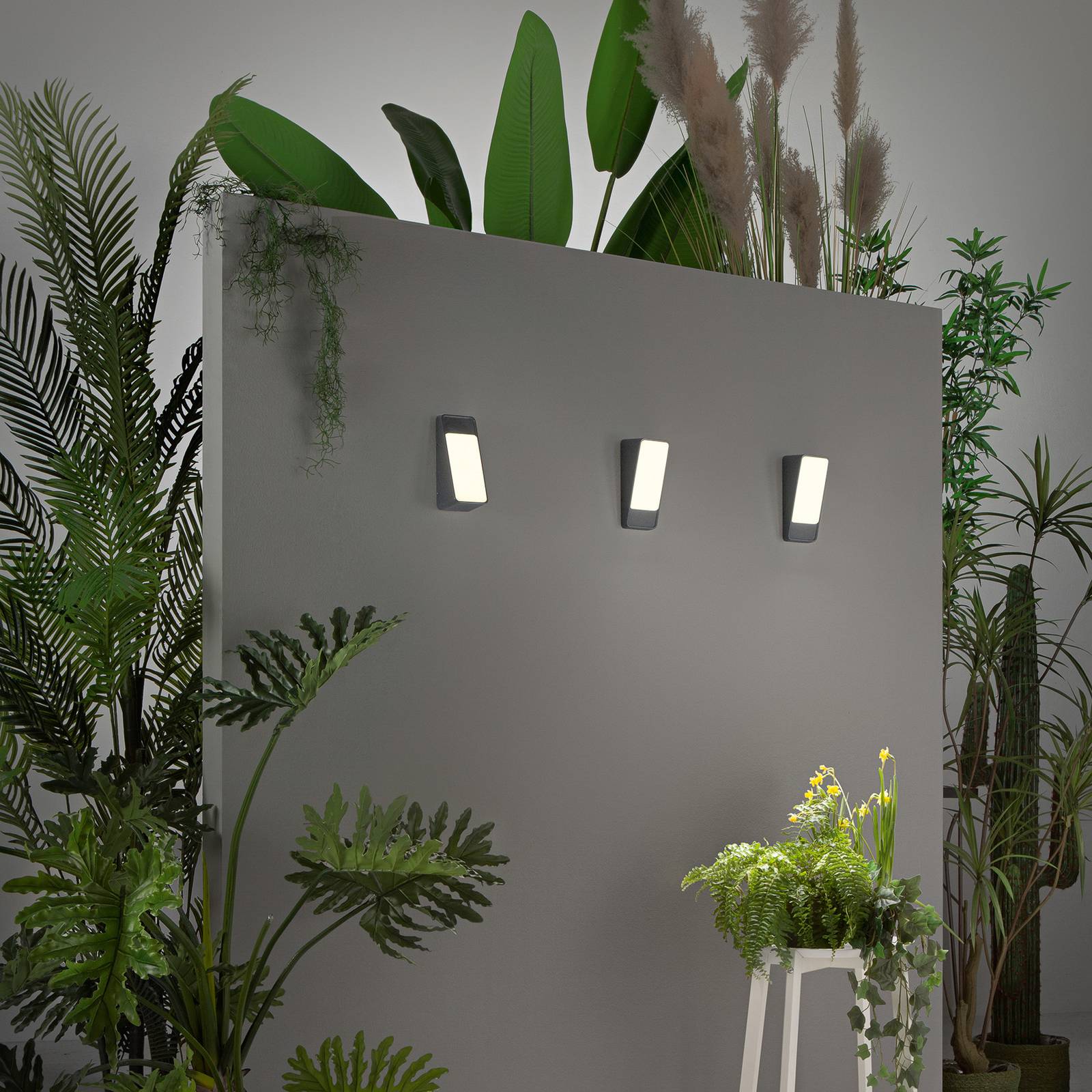 LED-Außenwandlampe Coupe, anthrazit, Höhe 20 cm, Metall günstig online kaufen