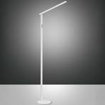 LED stojací lampa Ideal, jeden zdroj, CCT, bílá