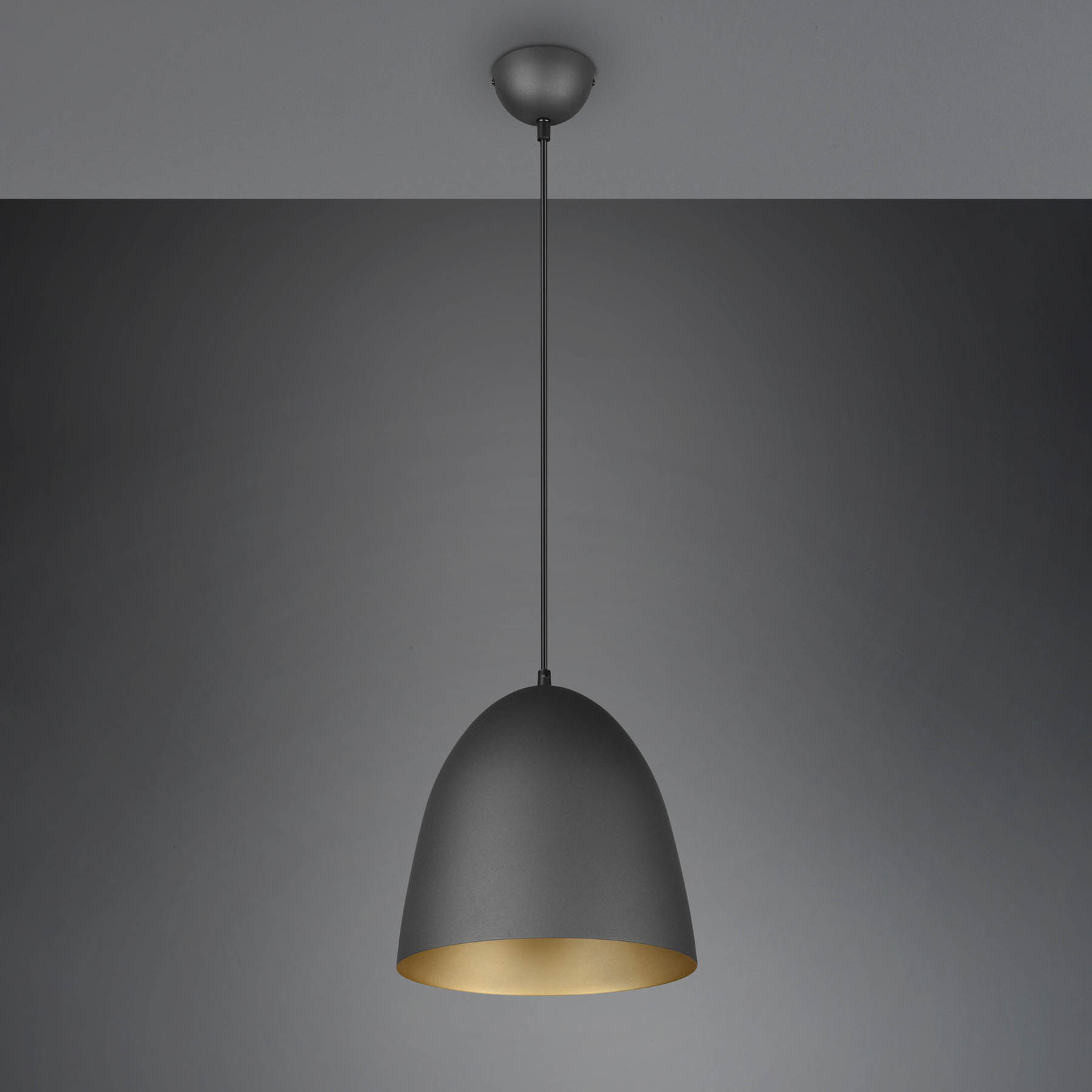 Tilda pendant light, one-bulb, black/gold, Ø 25 cm