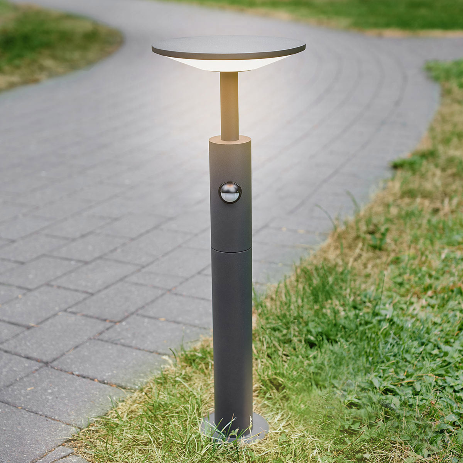 LED path light Fenia with motion detector, 60 cm Lights.co.uk