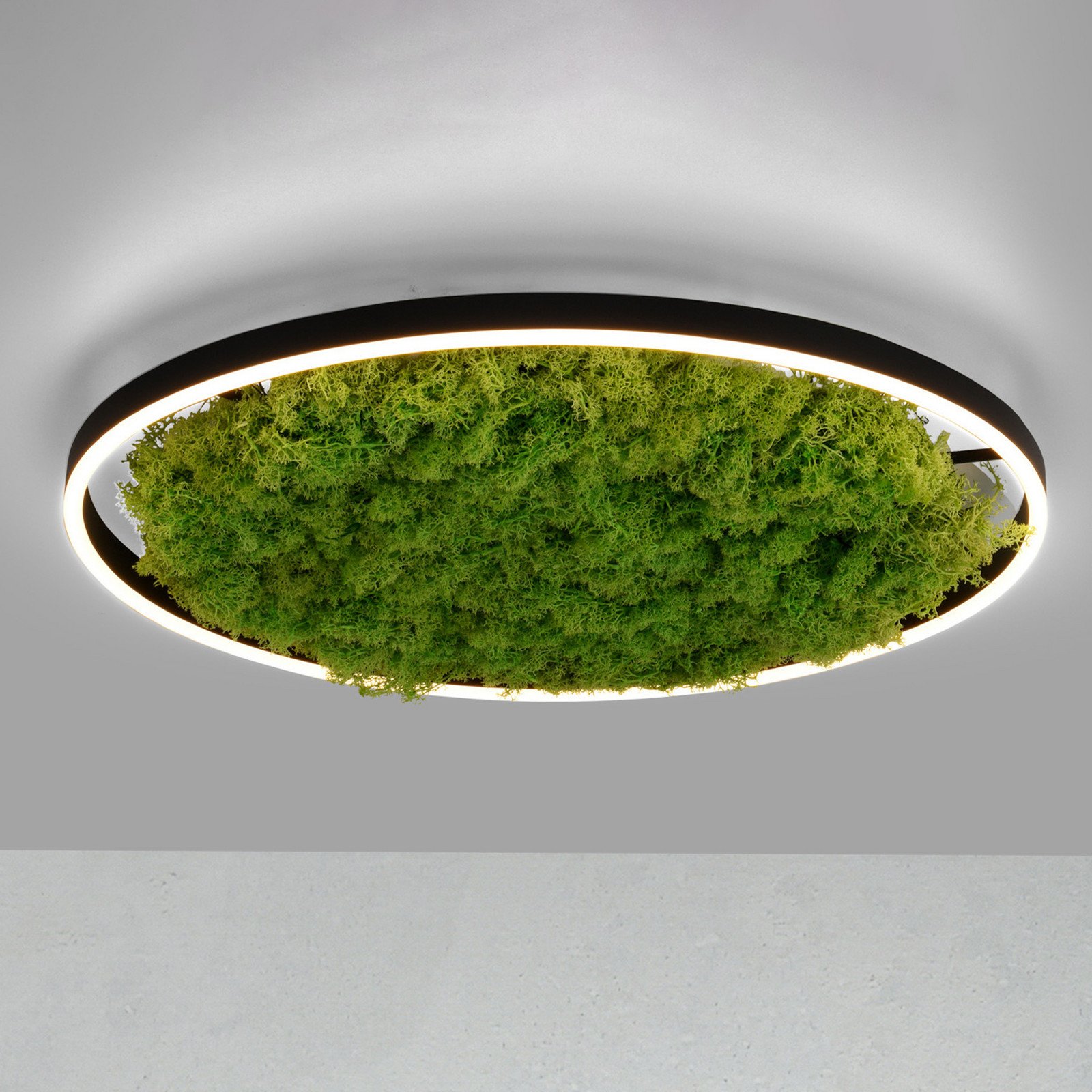 JUST LIGHT. Plafonieră LED Green Ritus moss dimabil Ø58.5cm - Camera de zi / sufragerie - modern - negru verde