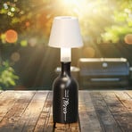 LED-Flaschenlampe Fiocco, sandweiß, RGBW, IP54, dimmbar