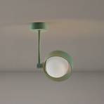 Mado loftlampe, 1 lyskilde, grøn