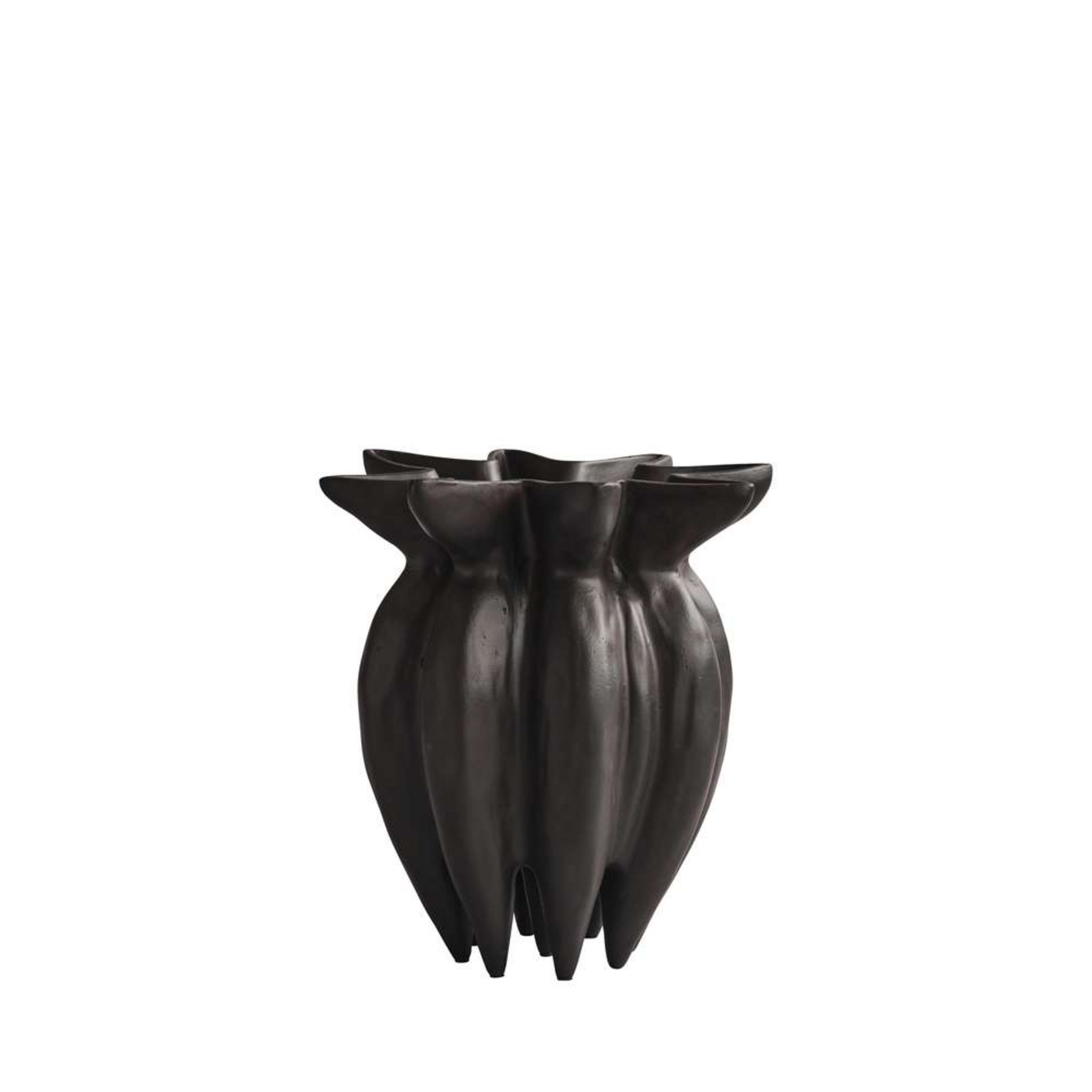 Lotus Jarra Mini Coffee - 101 Copenhagen