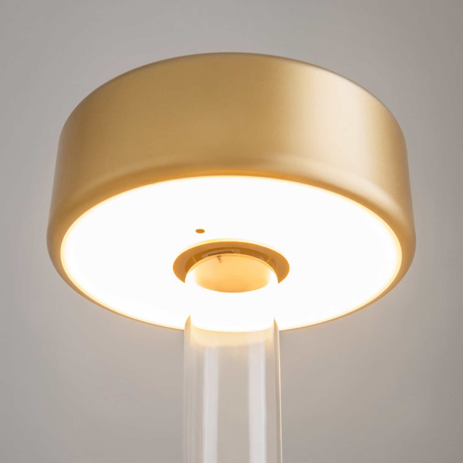 Maytoni LED oppladbar bordlampe AI Collaboration, glass, gull