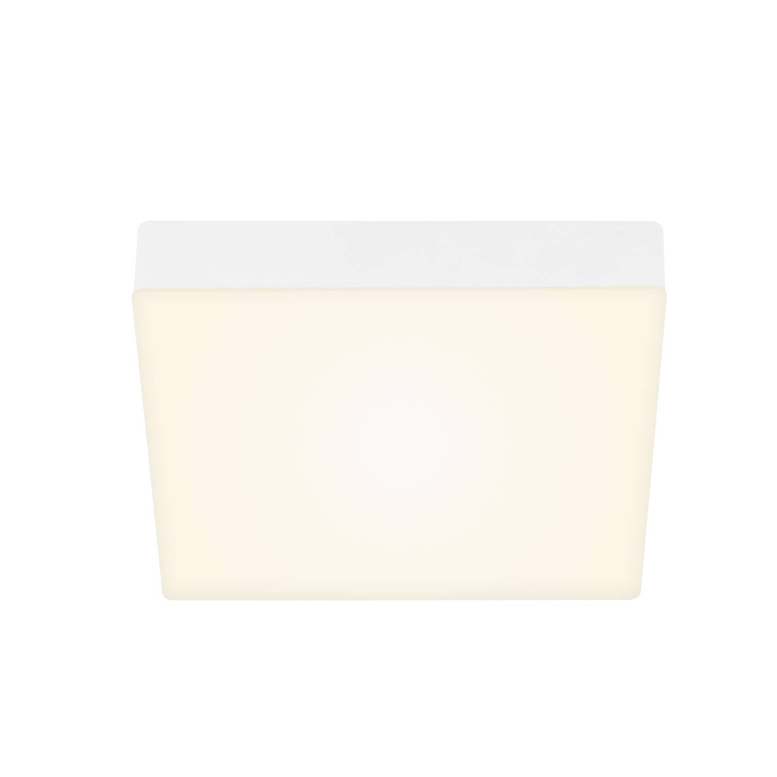 LED mennyezeti lámpa Flame, 21,2 x 21,2 cm, fehér