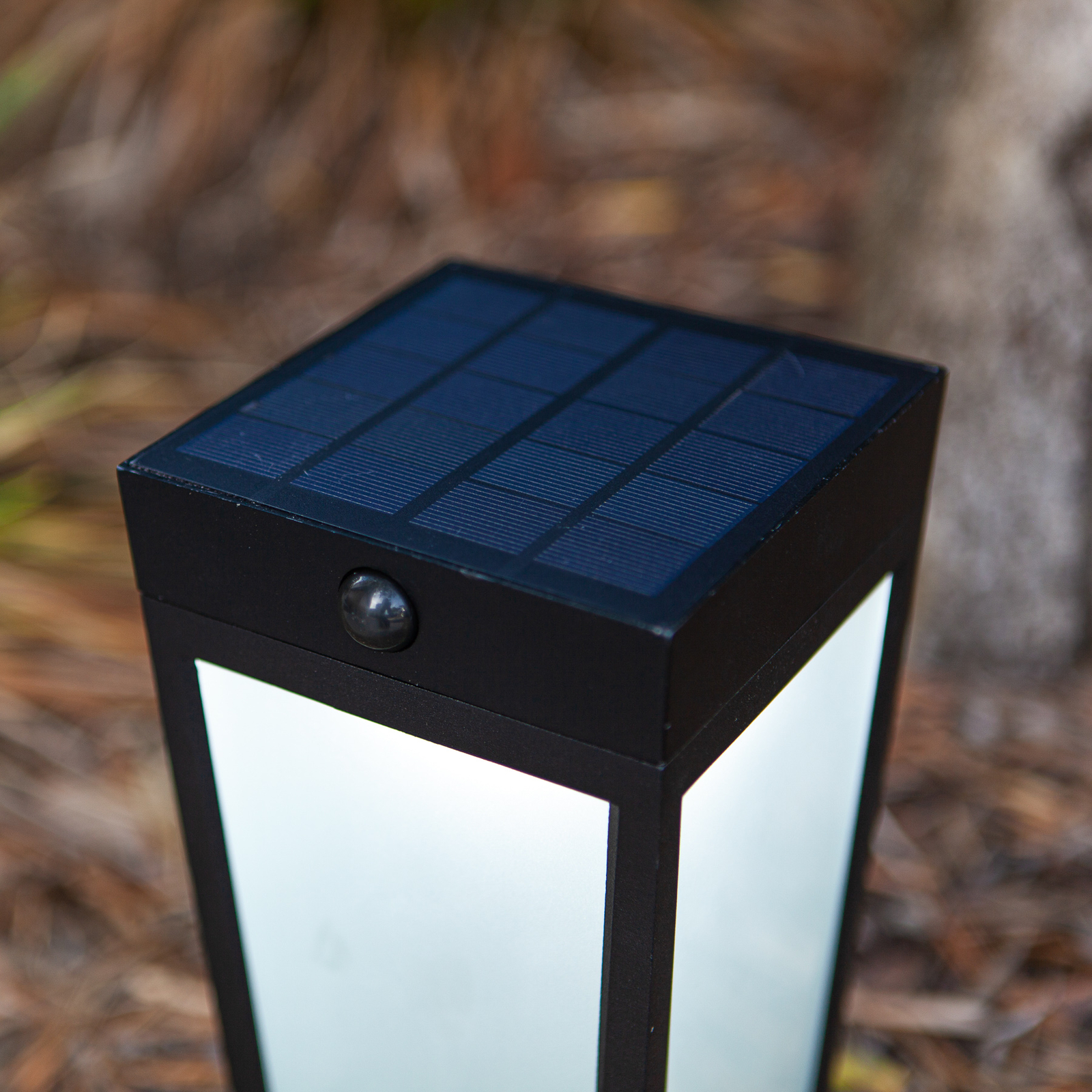 Διαφάνειες με ακίδα εδάφους, ηλιακός αισθητήρας Bluetooth CCT RGB