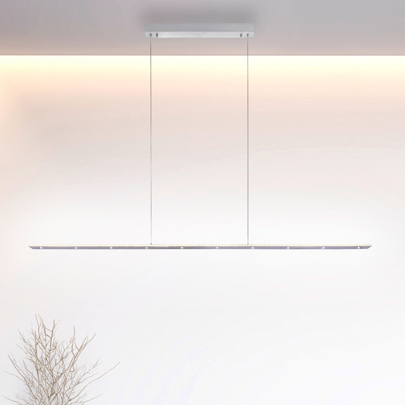 Paul Neuhaus Pure-Cosmo LED-pendellampe lang 140cm