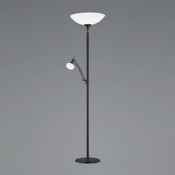 BANKAMP Opera piantana LED, luce di lettura, nero