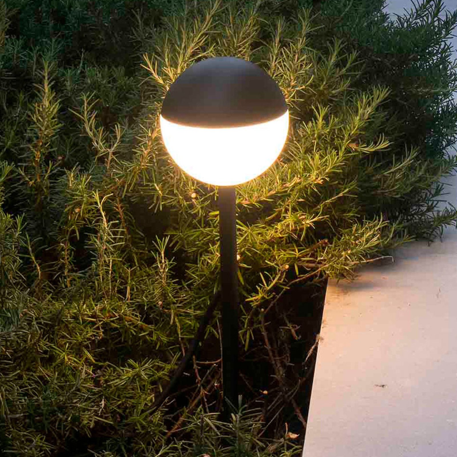 Bolardo luminoso LED Piccola, pica de tierra negro