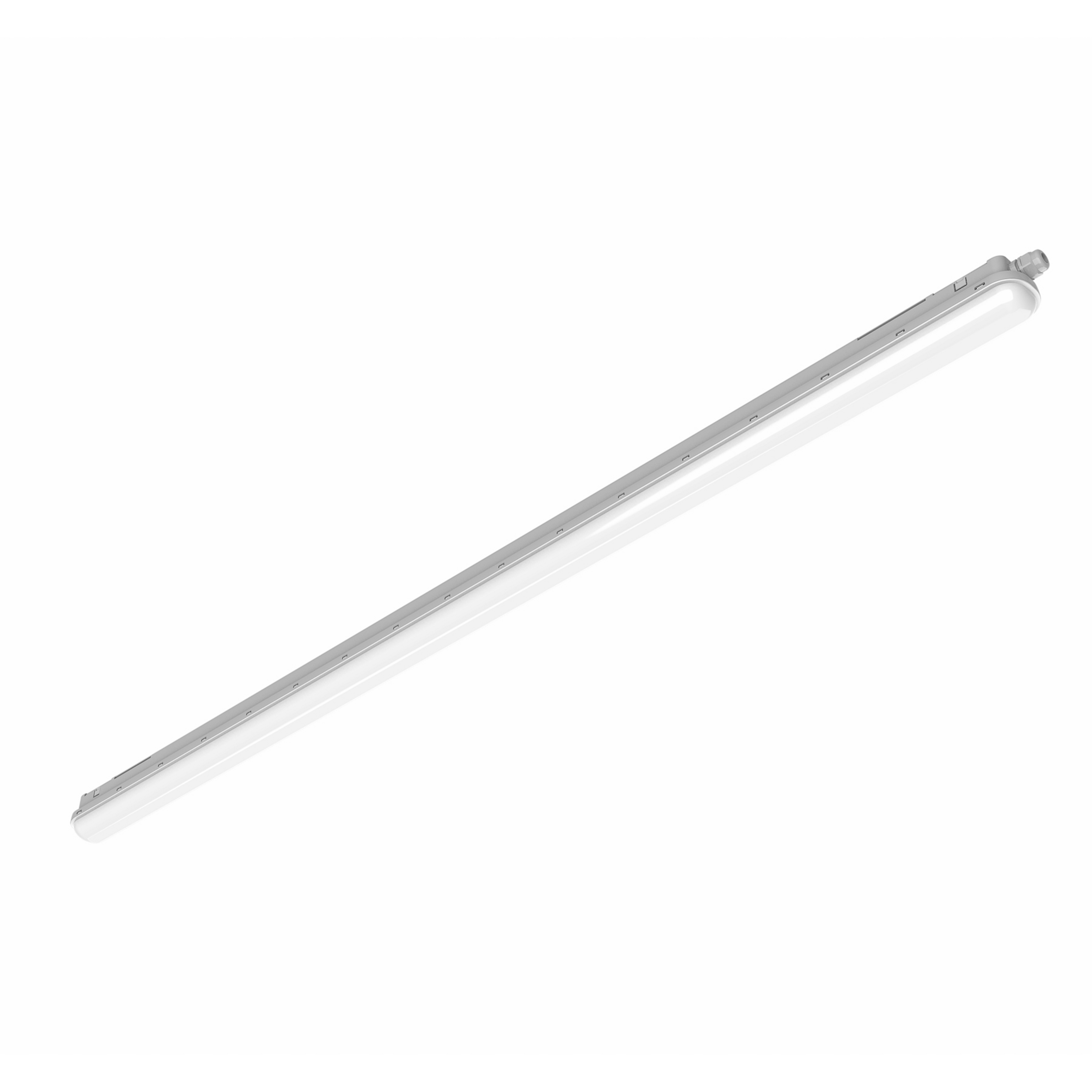 Wanne IP65 Projectline Durchgangsverdrahtung 150cm