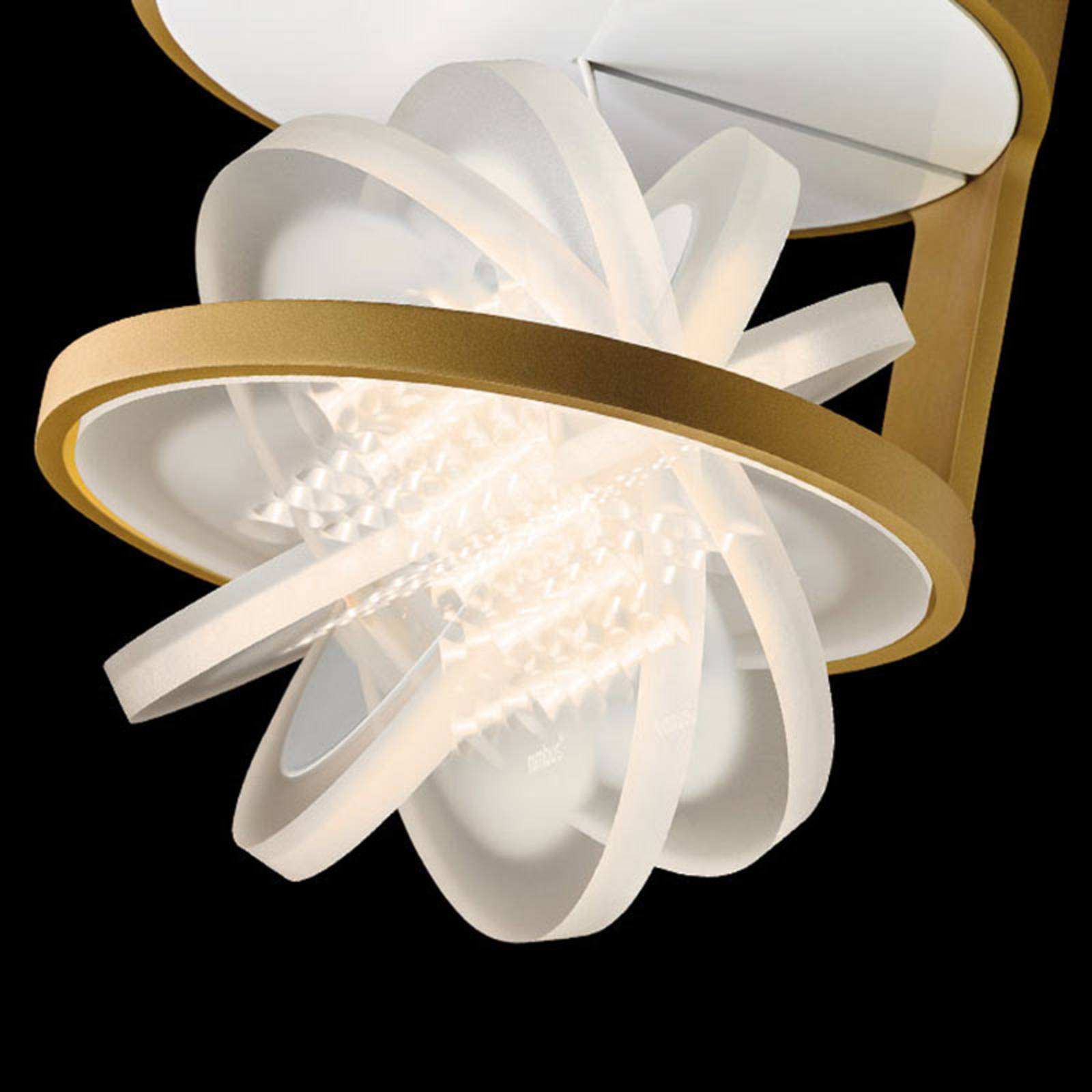 Nimbus Rim R 36 lampa sufitowa LED, matowe złoto