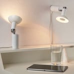 Paulmann Runa table lamp with one spot