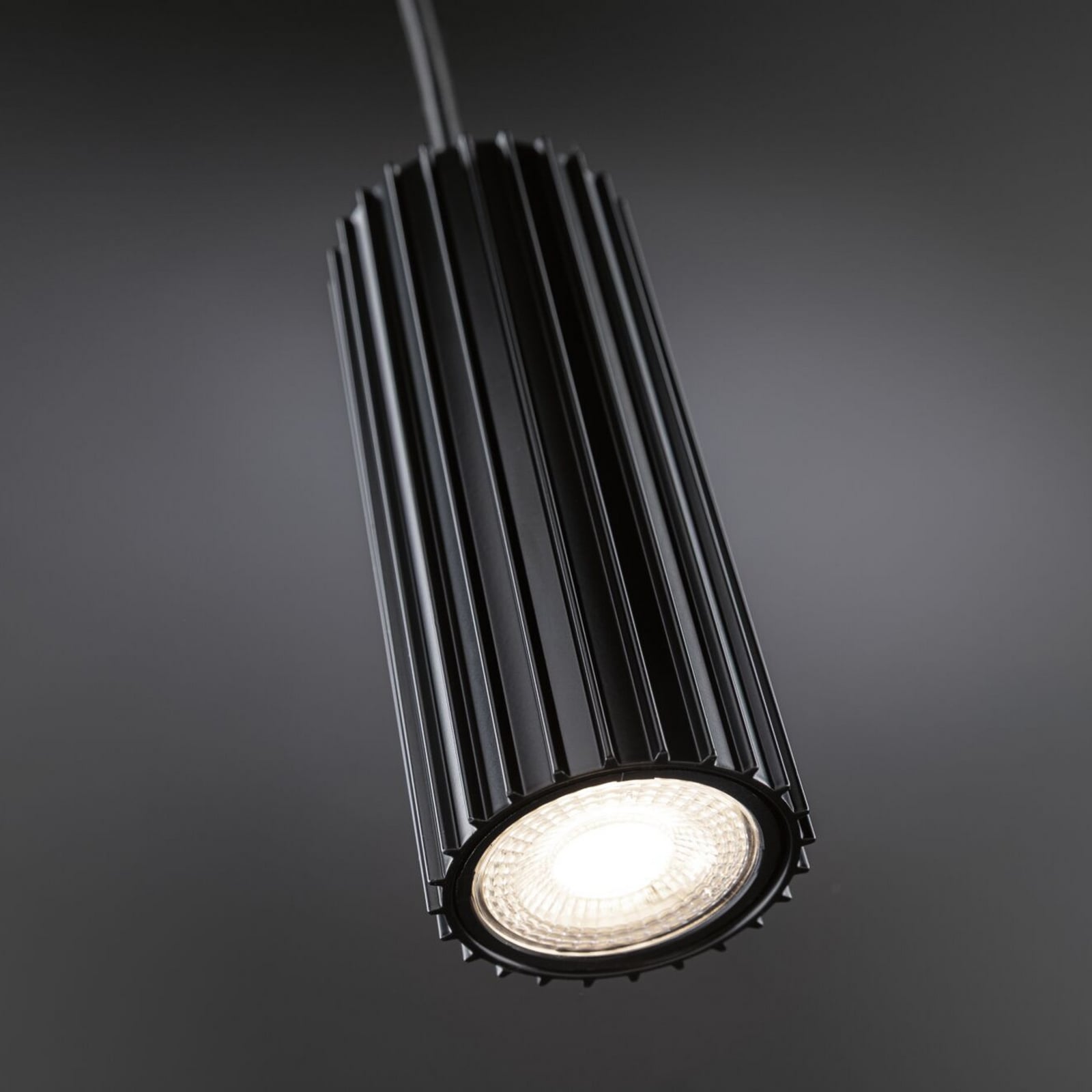 Candeeiro suspenso Paulmann Lirena, preto mate, Ø 6 cm, metal Candeeiro suspenso Paulmann Lirena, preto mate, Ø 6 cm, metal