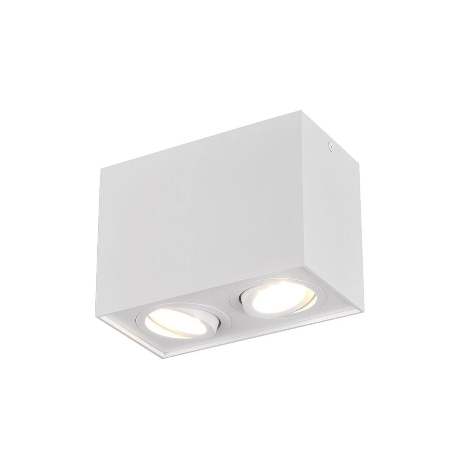 Biscuit ceiling light, two-bulb, white