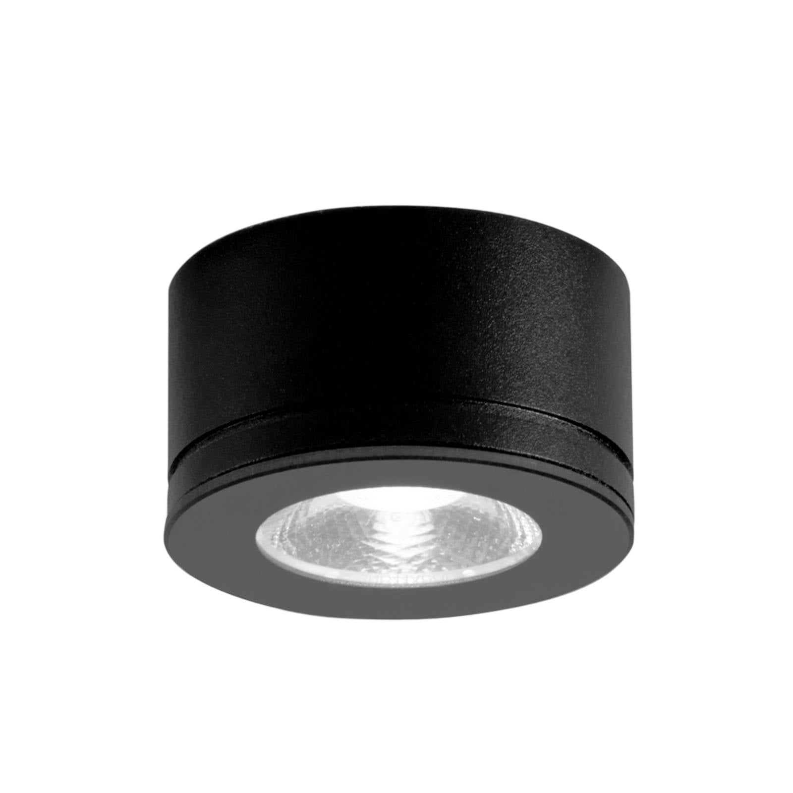 Egger DLS Downlight Newton schwarz 30° 3.000 K Ø 6,3 cm IP54
