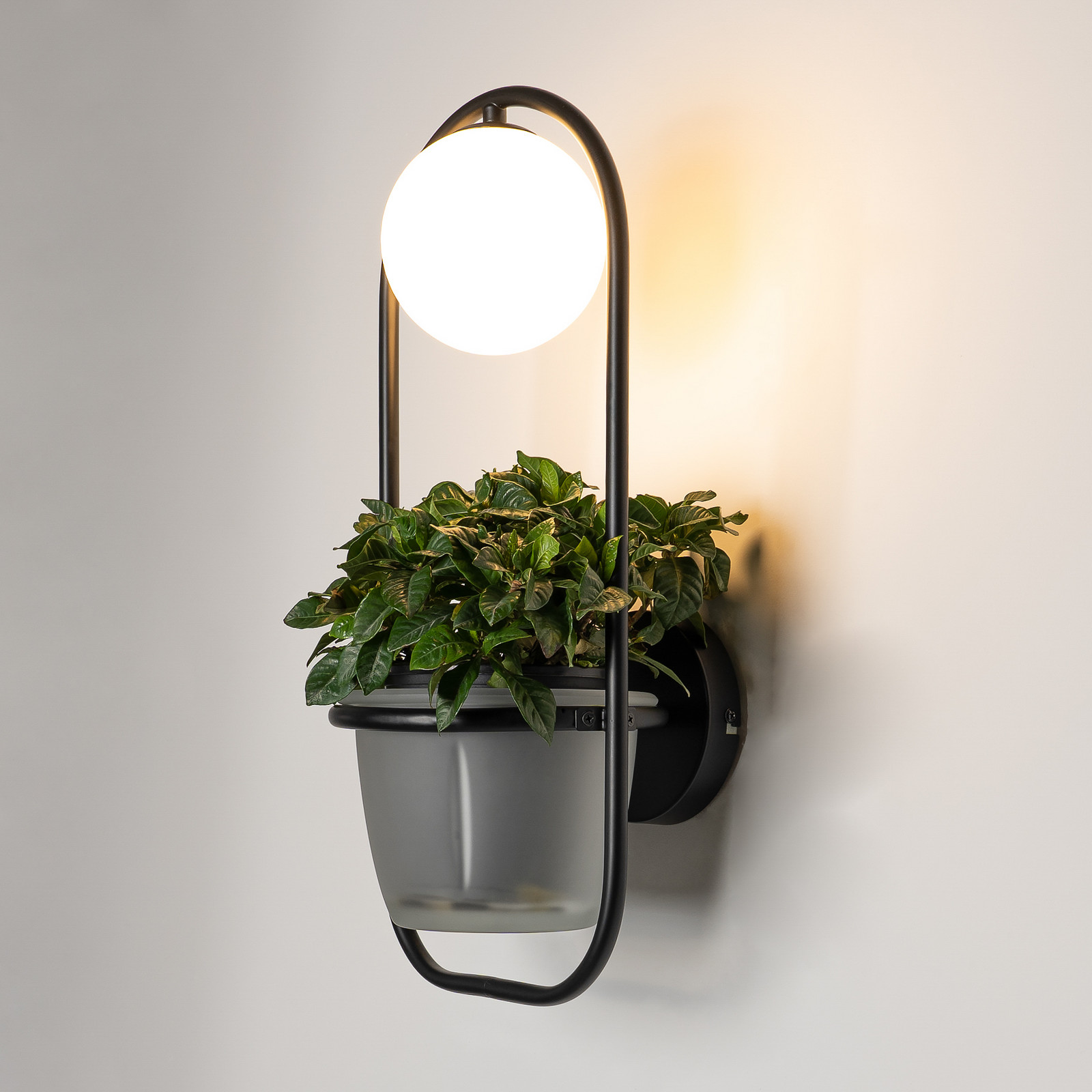 Lindby Orna aplică 1 bec ghiveci suspendat - Camera de zi / sufragerie - modern - negru opal - Metal