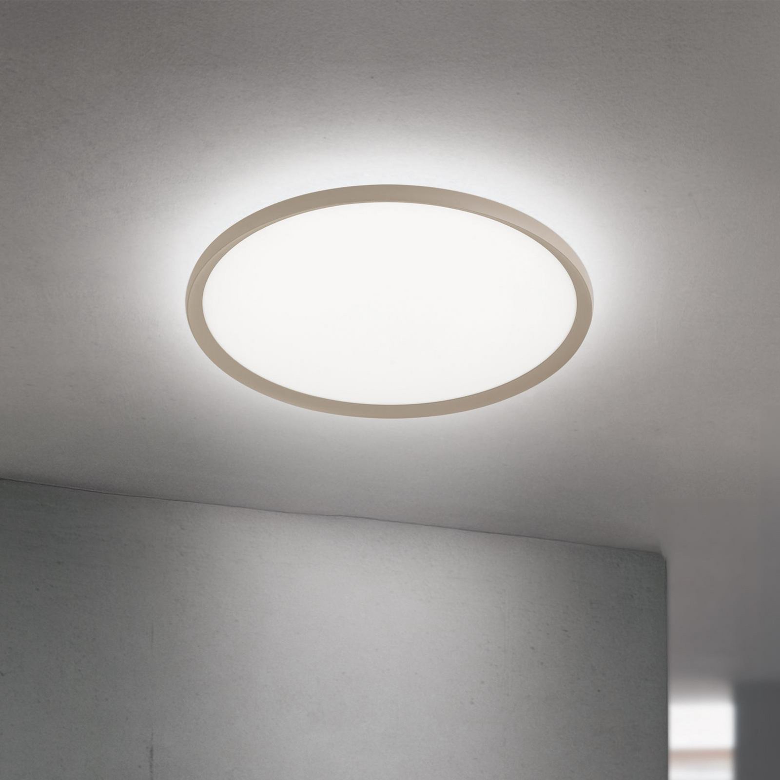 Candeeiro de teto LED Kant, Ø 60 cm cáqui, CCT metal/plástico Candeeiro de teto LED Kant, Ø 60 cm cáqui, CCT metal/plástico