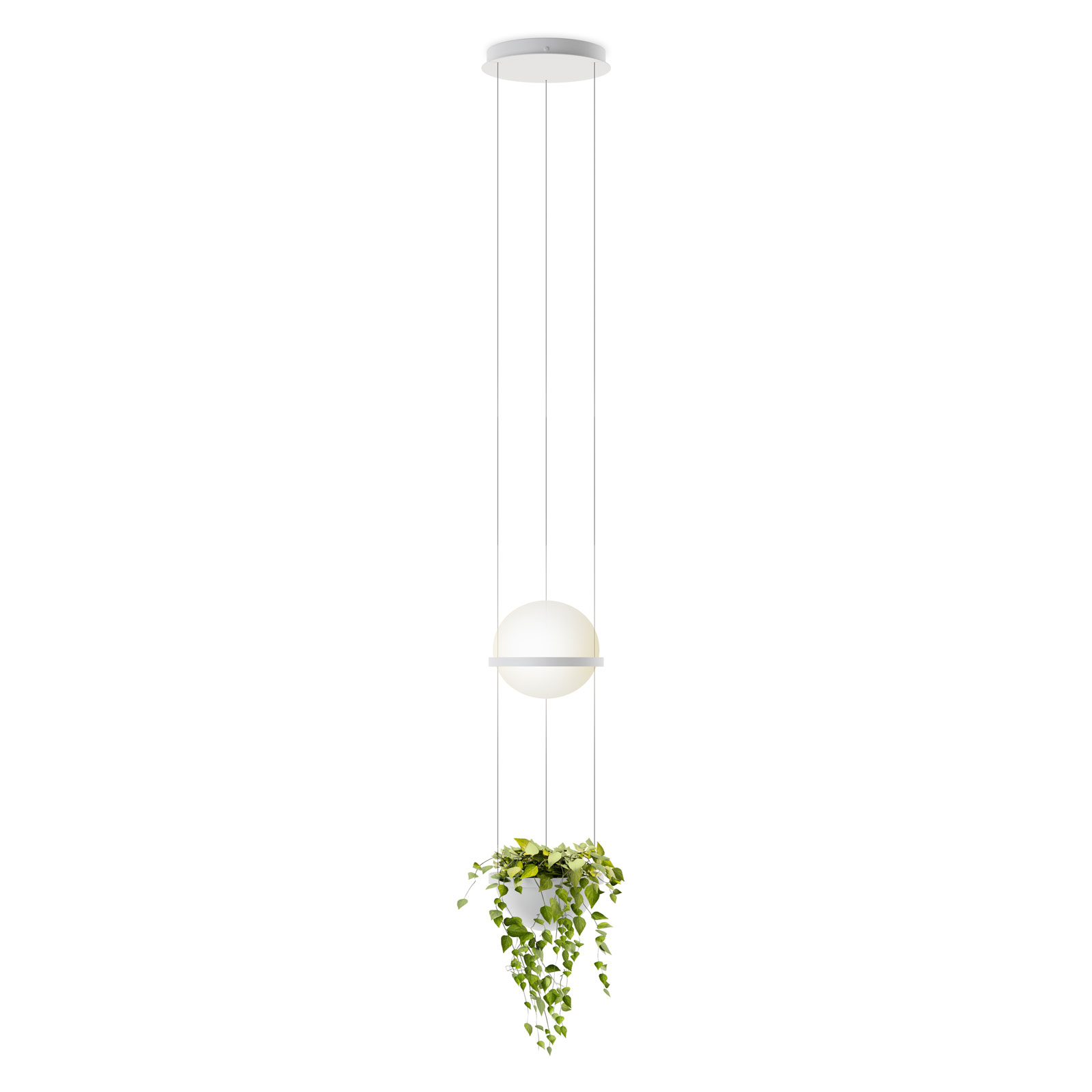 Vibia Palma 3724 hanging light, plant bowl, white