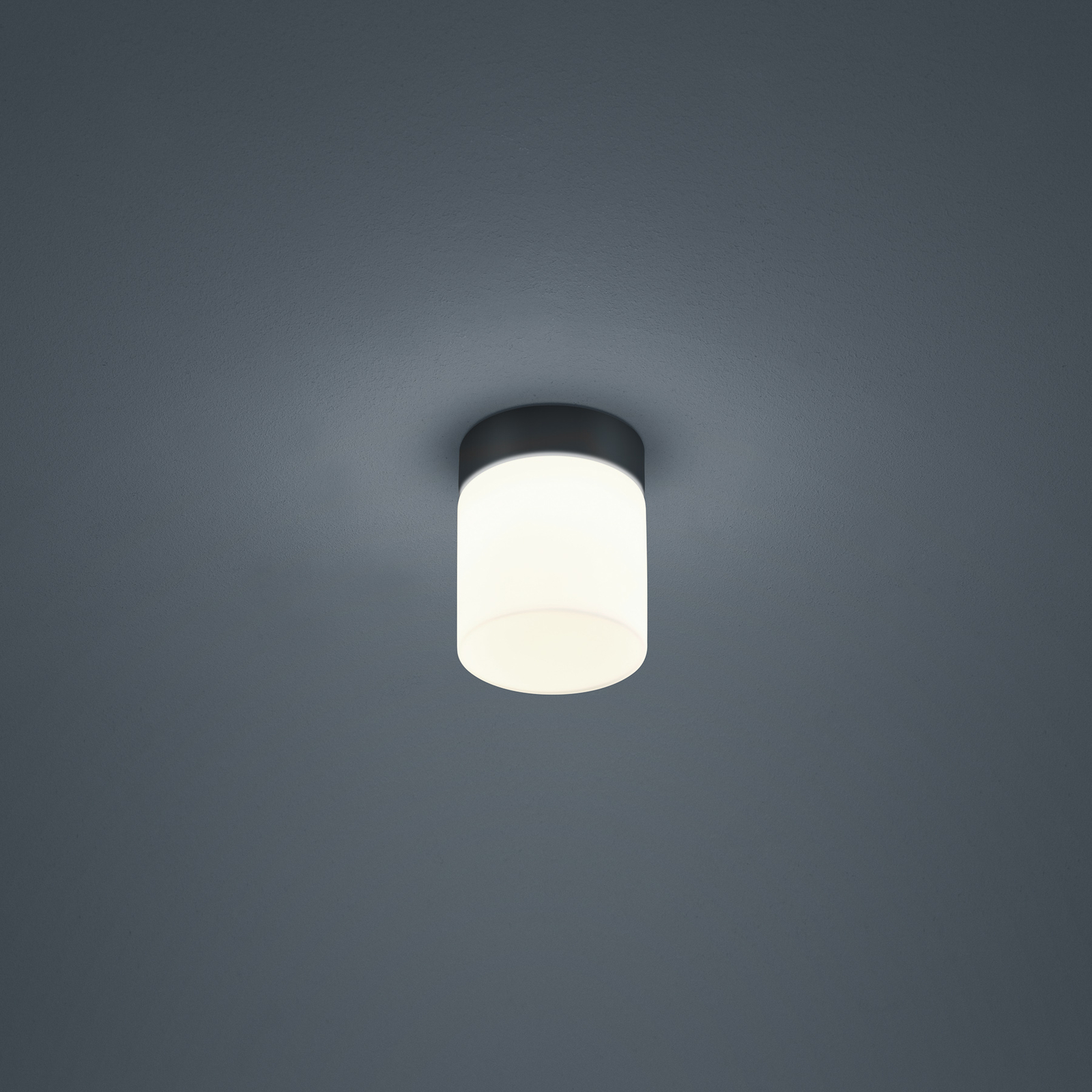 Helestra Keto LED ceiling light, cylinder, black
