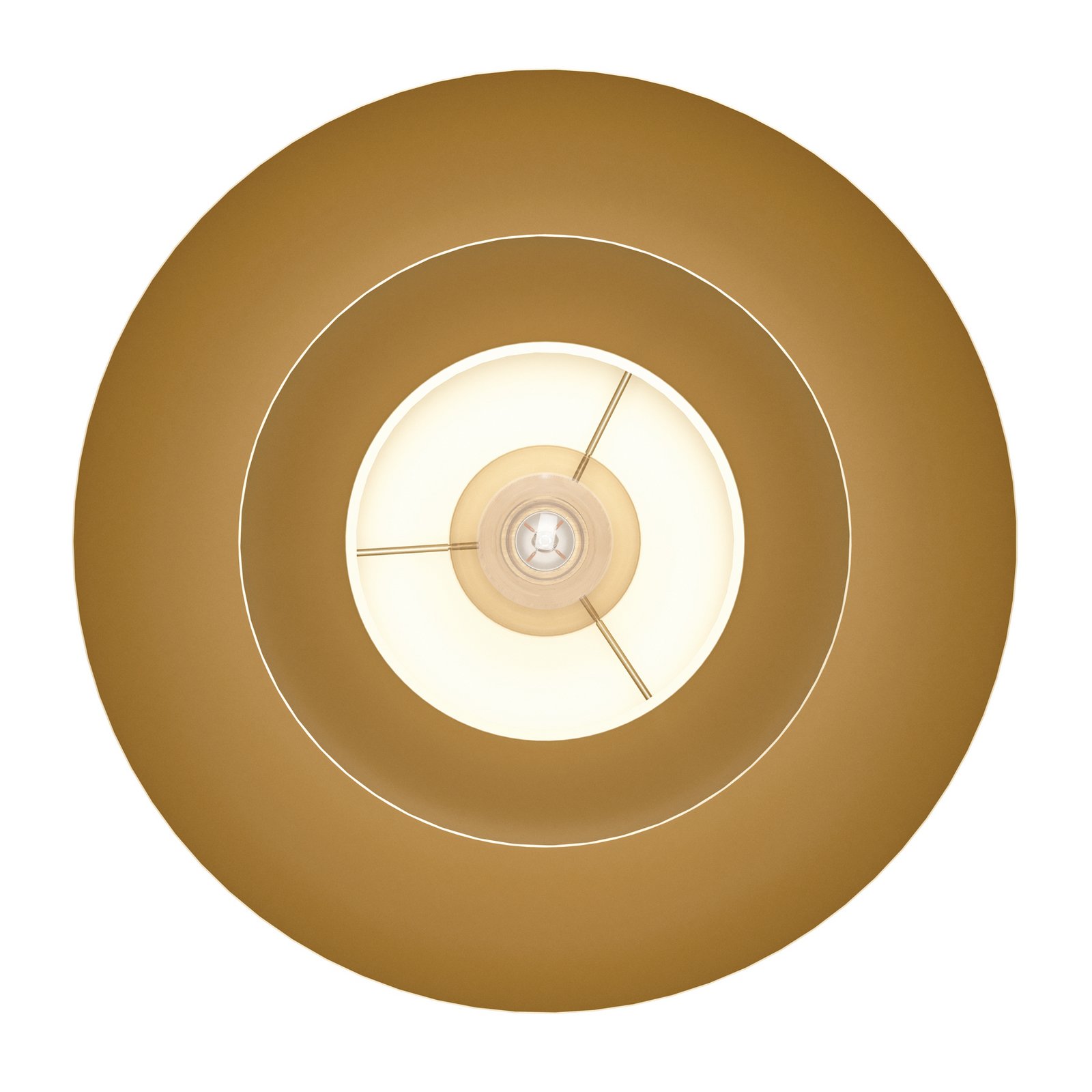 Kattovalaisin Cenciara harjattua messinkiä