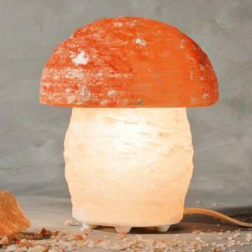 Superbe lampe de sel PILZ en forme de champignon