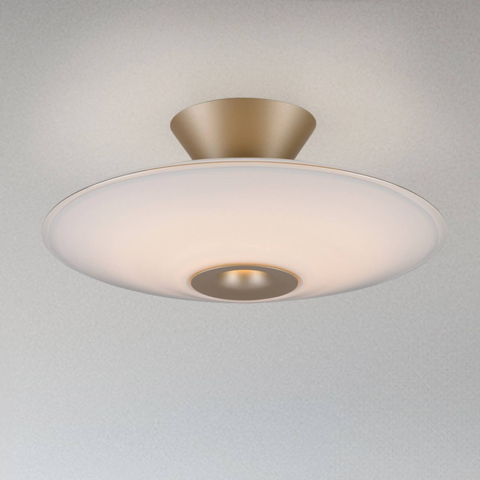 Paul Neuhaus LED-Deckenlampe Elipsa, weiß/bronze, Ø 35 cm günstig online kaufen