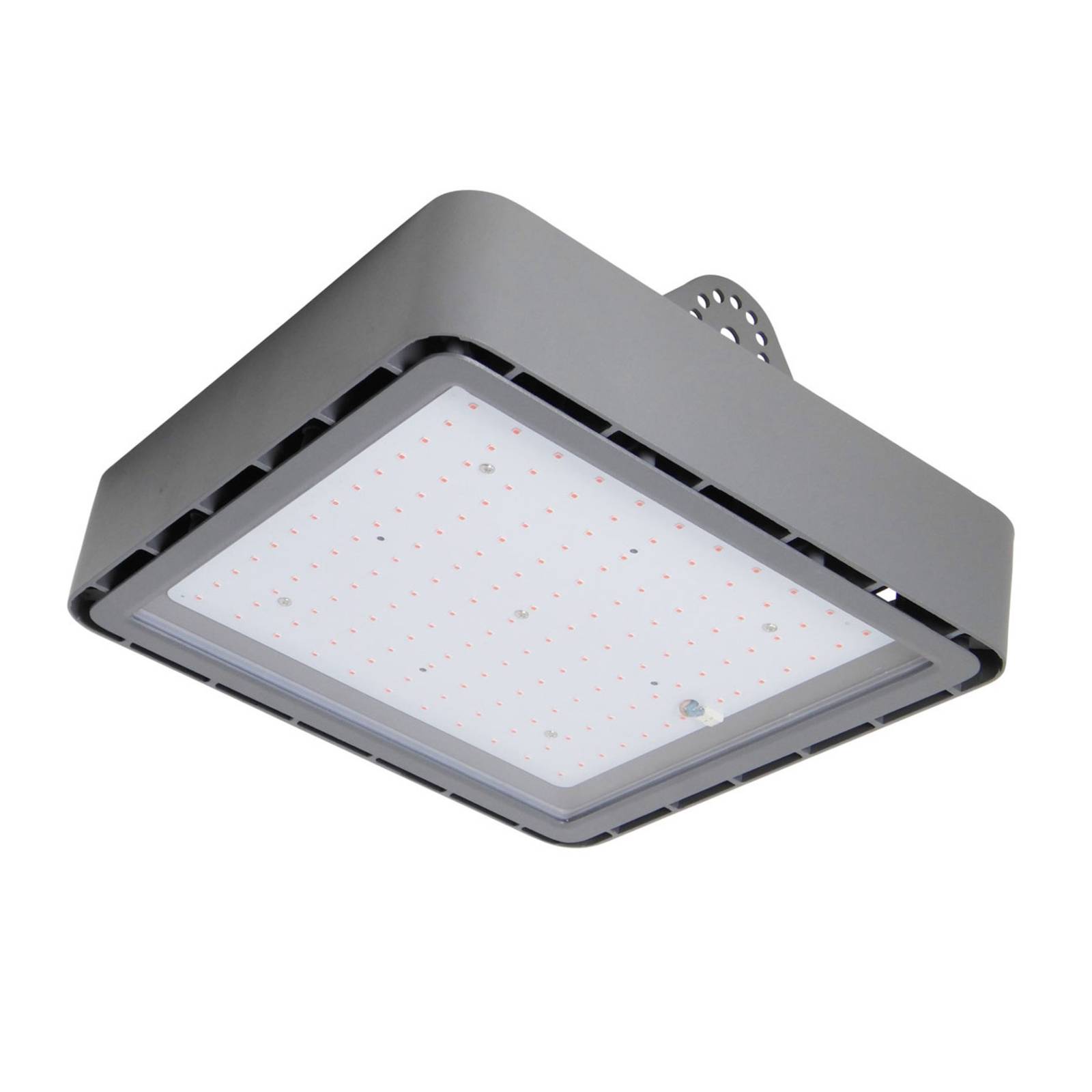 GoLeaf plant bulb X1 S3 redblue photosynthesis Lights.co.uk