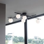 Ideal Lux plafón Atlas negro, 5 luces metal cristal